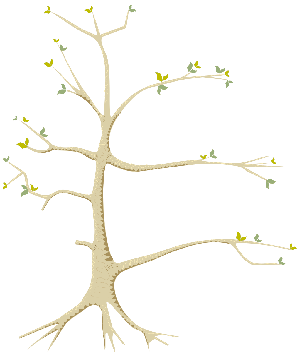 Learn From Nature First Peoples Principles Leaf Learning